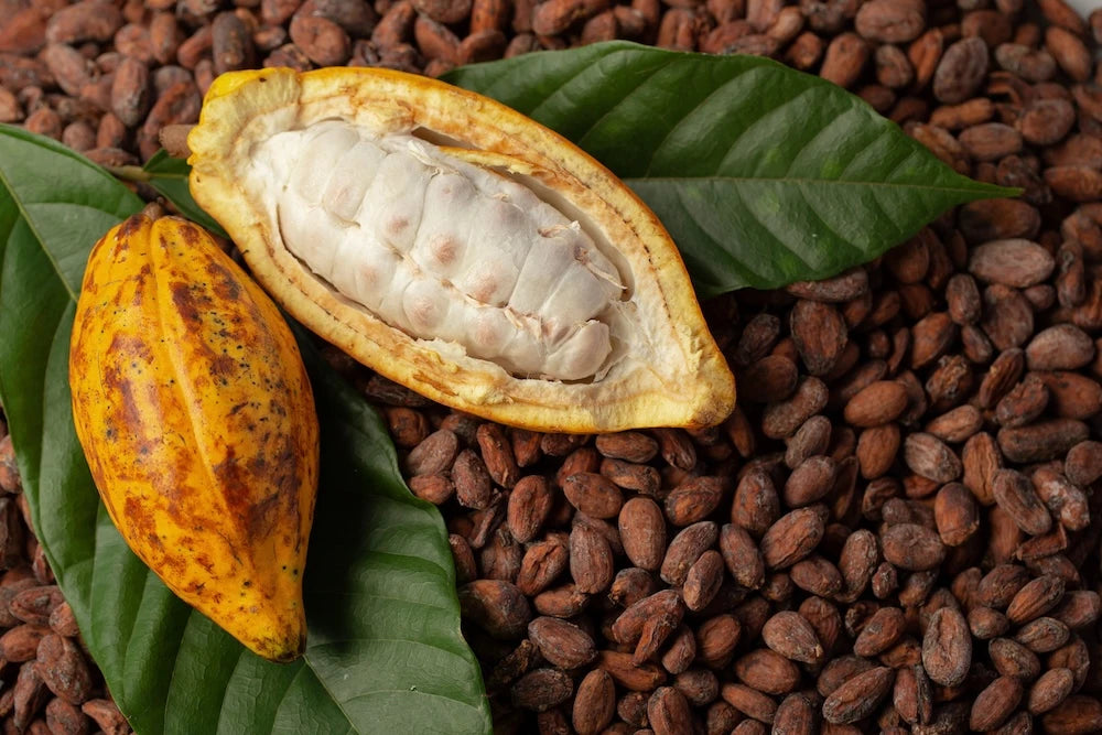 Organic Cacao Butter: Pure and Natural for Rich Chocolate Creations