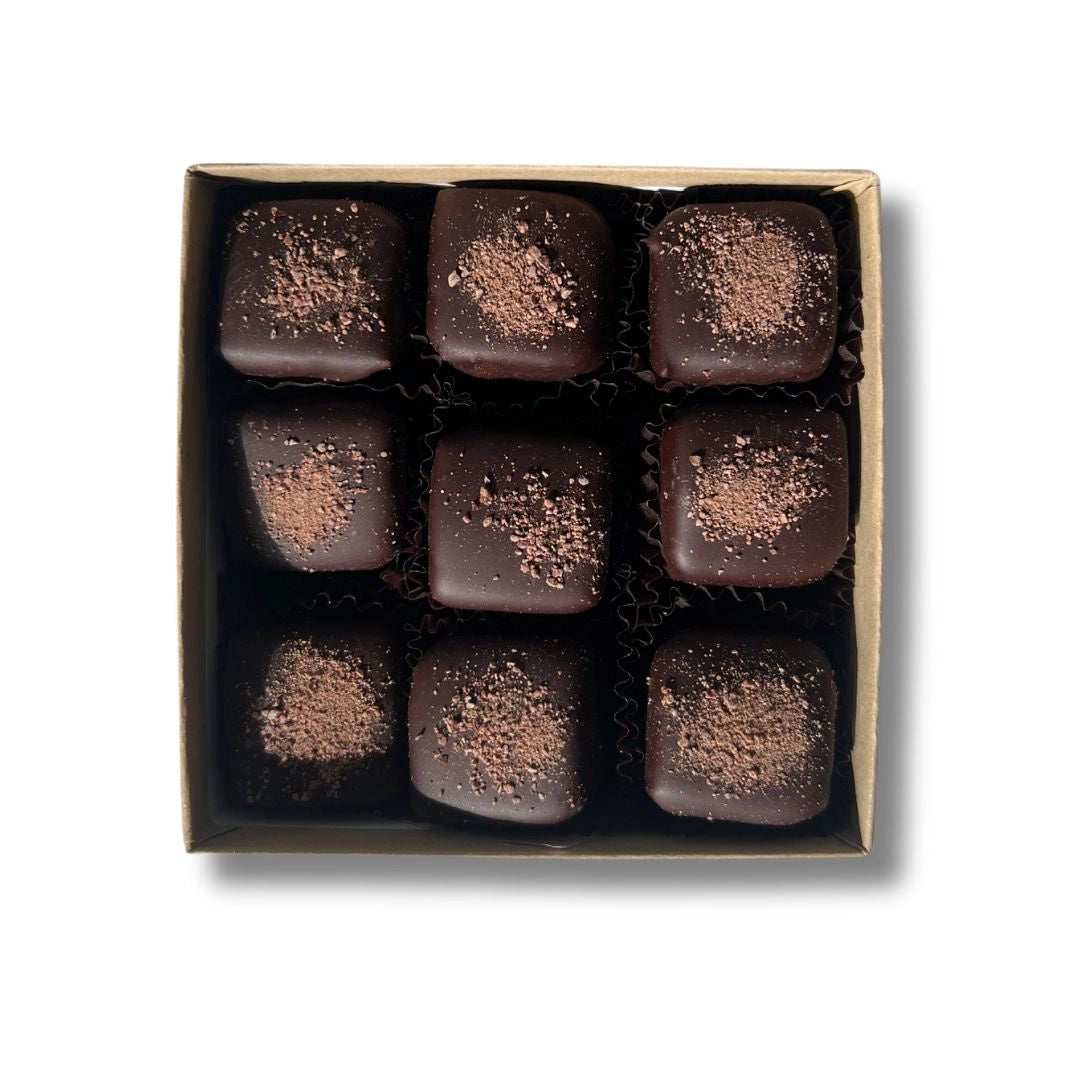 Raw Fudge Truffles